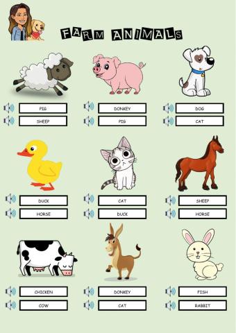 Farm Animals