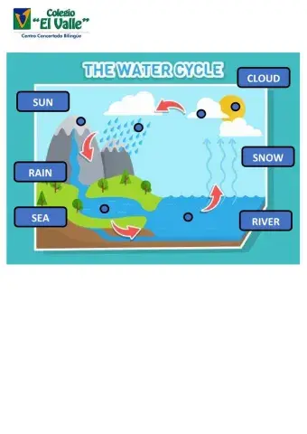 Water cycle