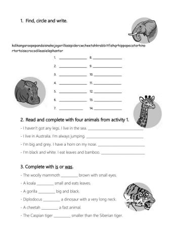 Big surprise 5 unit 6 revision