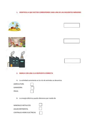 Sectores de la economia