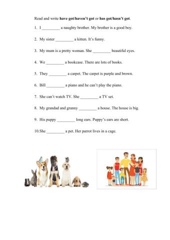 Have-haven't  has-hasn't