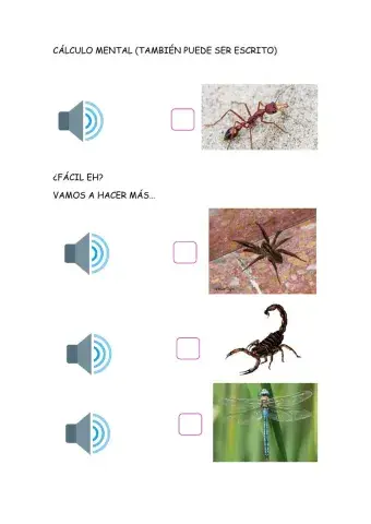 Insectos