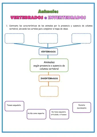 Mapa de ideas-Animales vertebrados e invertebrados