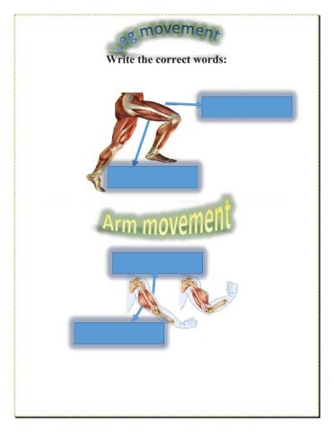 Leg movement and arm movement