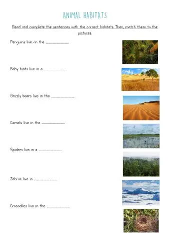 Animal habitats - complete and match