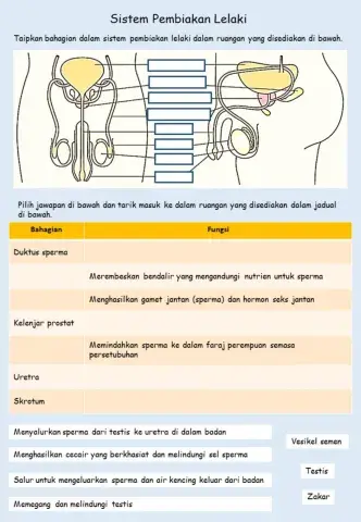 Sistem Pembiakan Lelaki