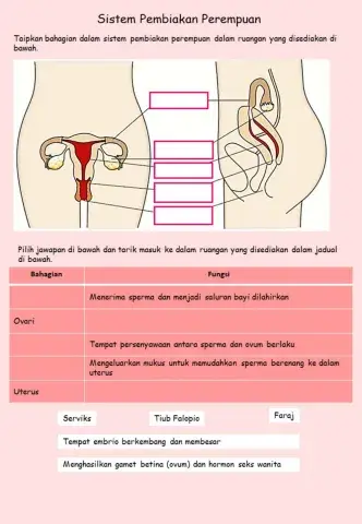 Sistem Pembiakan Perempuan