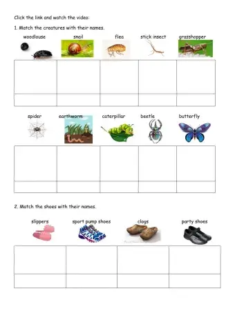 The caterpillar's shoes