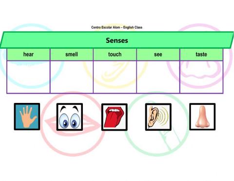 Senses
