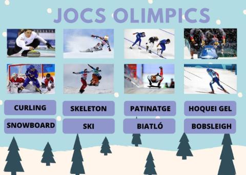 Jocs olimpics hivern