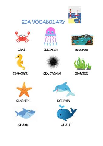 Sea vocabulary
