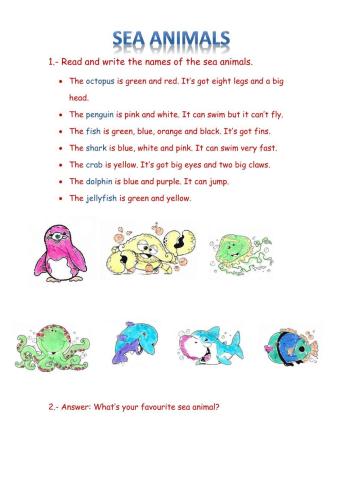 Sea animals