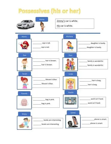 Possessive - His - Her