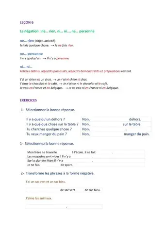 Leçon 6 : La négation : ne... rien, ni... ni..., ne... personne.