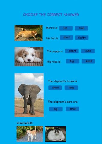 Choose the correct answer