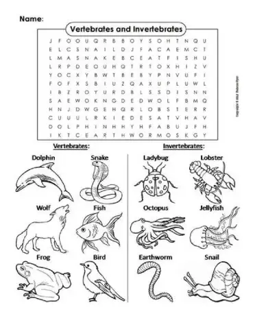 Vertebrates and Invertebrates Animals