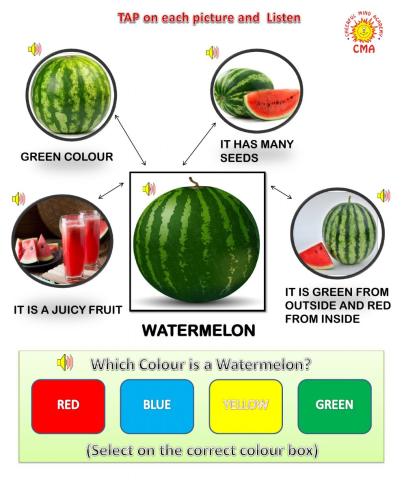 Fruit Watermelon