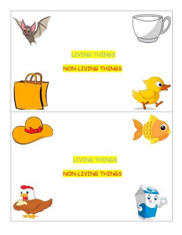 Living and Non-living test