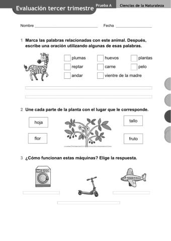 Control naturales final