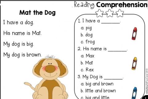 Mat the Dog (Reading Comprehension)