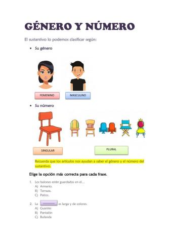 Género y número