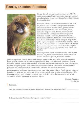 Footle, tximino ñimiñoa