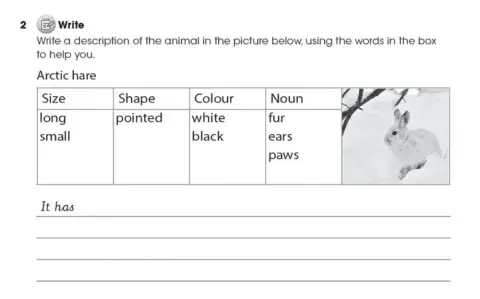 Adjectives in the correct order
