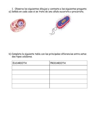 Diferencias células eucariotas-procariotas