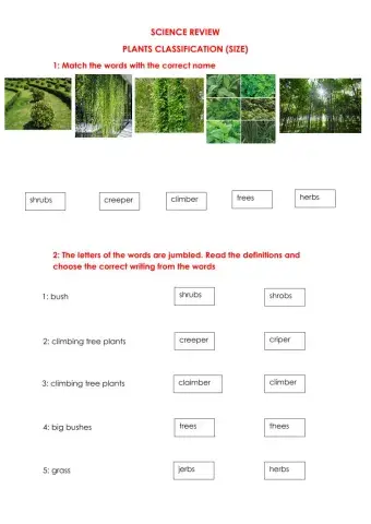 Plants Size Classification