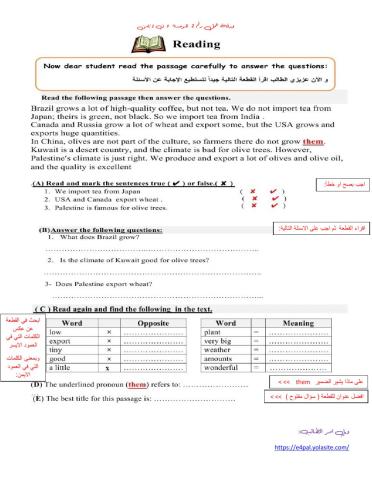 WorkSheet 2 Unit 9 T2 G8