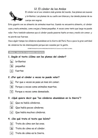 Comprensión de lectura