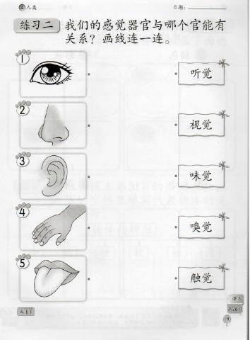 一年级科学活动本-page19