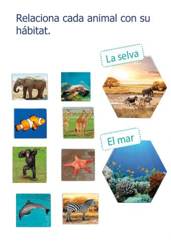 Relaciona selva i mar