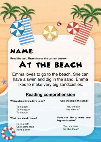 At the beach reading comprehension