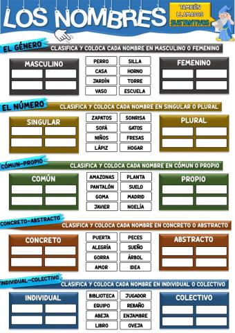 Los nombres y su clasificación