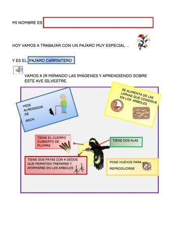 Modulo12parte2grupo2