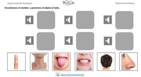 Vocabulario partes del cuerpo 2 con  audio