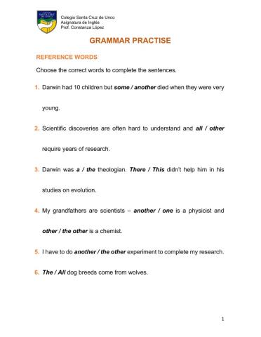 Grammar Practise IVº (1)