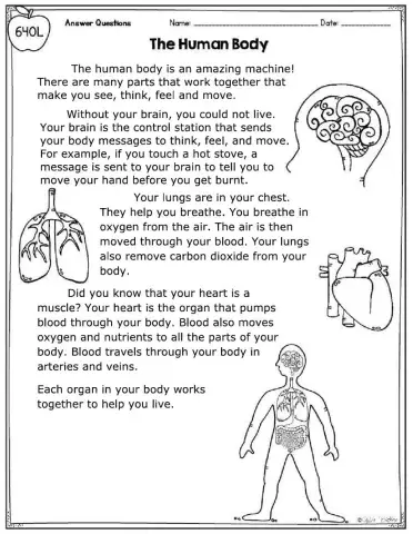 The Human Body RC