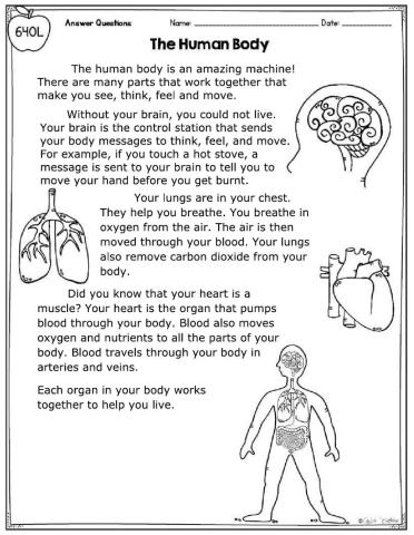 The Human Body RC
