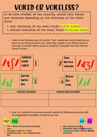 Voiced and voiceless sounds