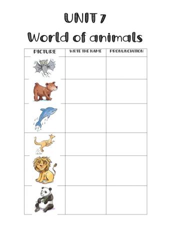 World of animals