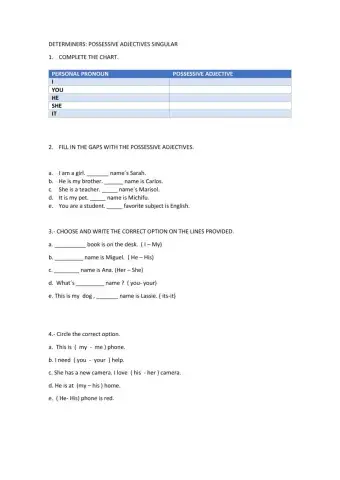 Determiners - Possessive adjectives singular