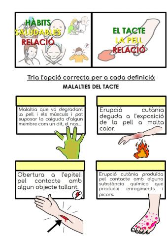 Malalties del tacte