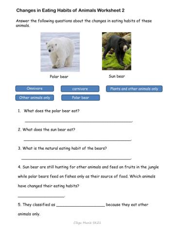 Changes in the Animals' Eating Habits worksheet 2