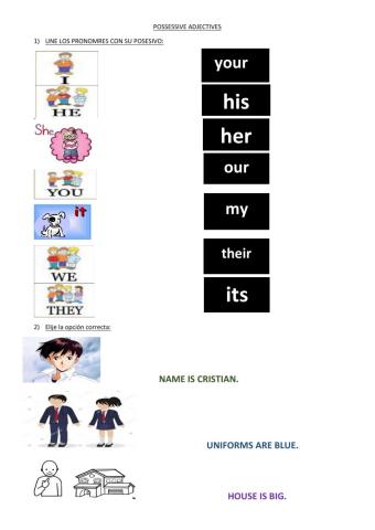 Possessive adjectives