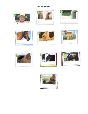 Worksheet Animals on the farm