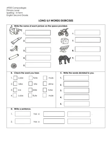 Long u-i words exercises