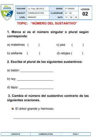 El número del sustantivo