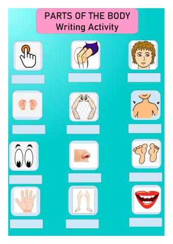 Parts of the Body
